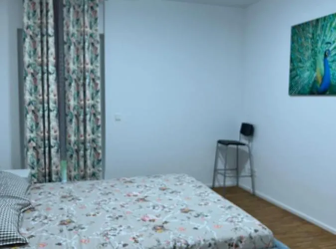 Appartamento Three Bedroom In Centre With A Grand Garden Francoforte sul Meno